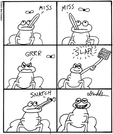comic-2010-02-27-lazy-frog.gif