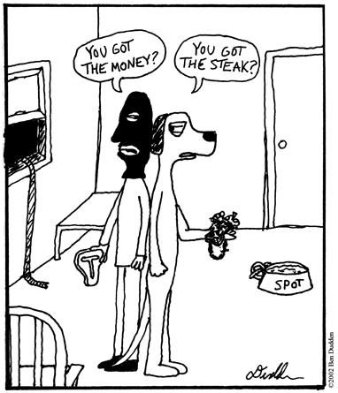 Dog Robbery One